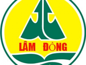 Đại lý thuộc KV Tỉnh Lâm Đồng.